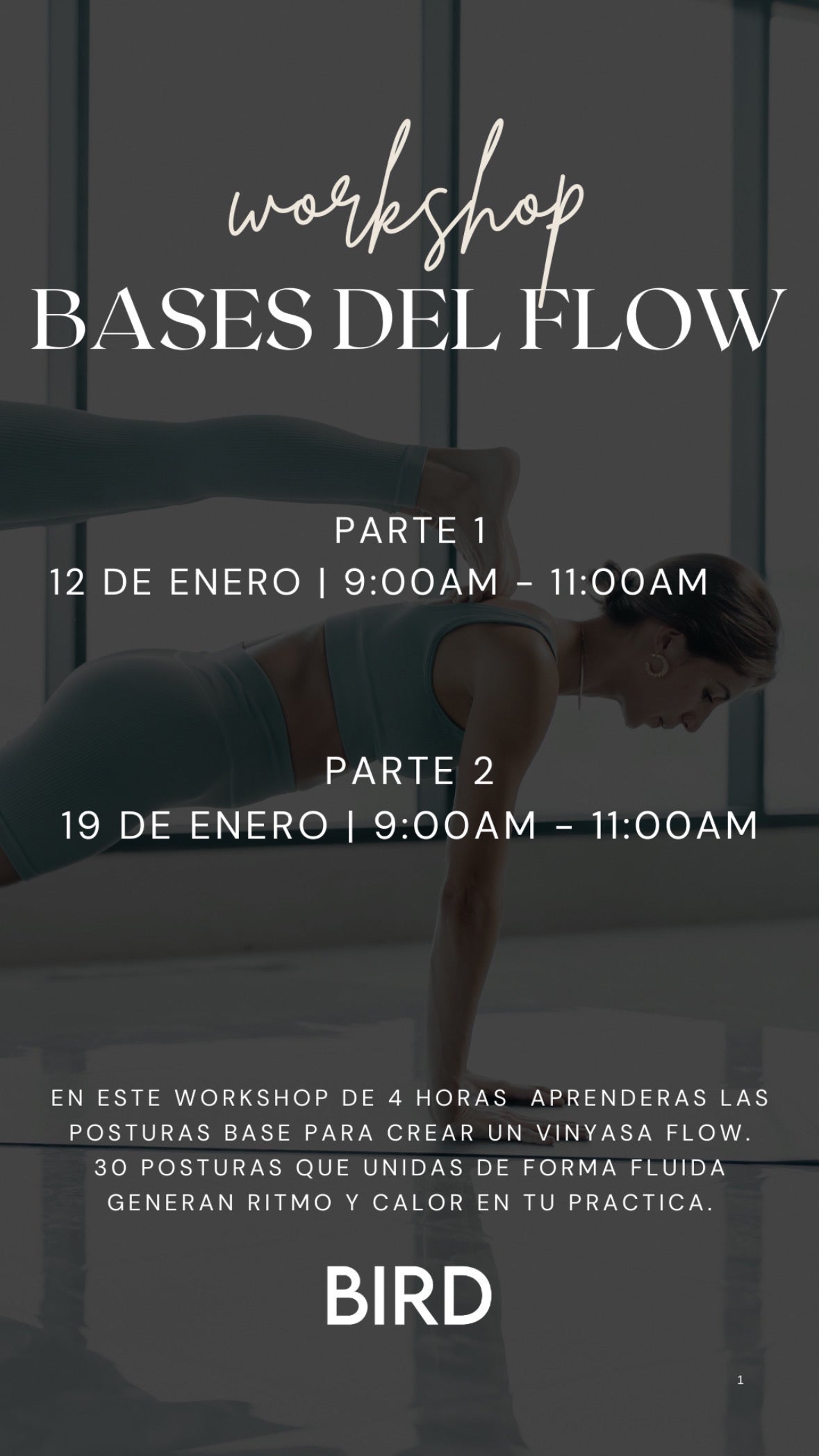 Workshop: Bases del Flow